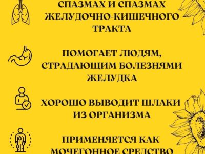 Алтайский мёд подсолнечниковый 900 грамм