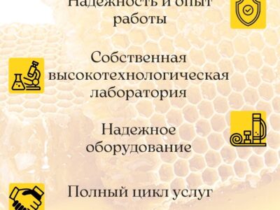 Алтайский мёд подсолнечниковый 900 грамм