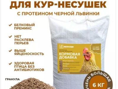 Белковый премикс для несушек с Черной львинкой, 6 кг.