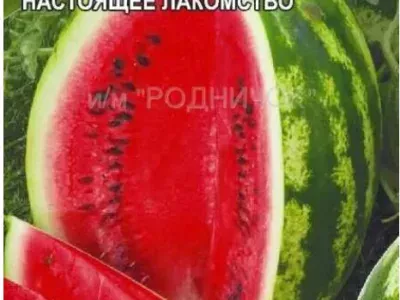 Арбуз Алый Сахар. Семена