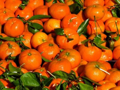 Овощи и фрукты из Грузии доставка